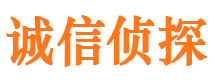 中宁市私家侦探